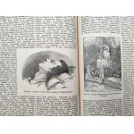 Wielka Encyklopedia Powszechna Ilustrowana - Warszawa 1893 - Tom XI - [Chopin]