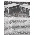 Spyra A. - Silesian folk furniture - Pszczyna region-.