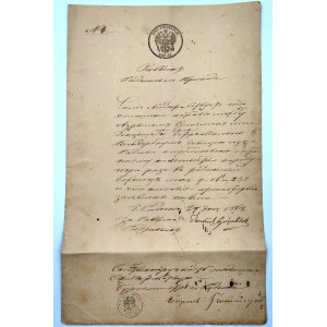 Dokument Powiat Radzyński - Magistrat Miasta Radzyń - [ Znak Wodny - Herb Królestwa Polski ] 1868