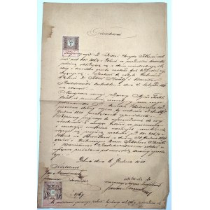 Oświadczenie do Sądu Powiatowego w Dolinie [Kresy] - 1881