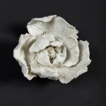 Dominika Donde, Fleur éternelle (Wieczne kwiaty)