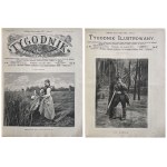 WEEKLY ILLUSTRATED 1891