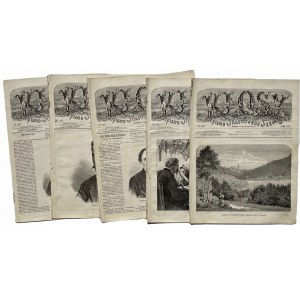 COWS 1873 5 výtisků.