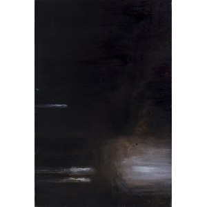 Veronica Braun, Cathedral, 2016