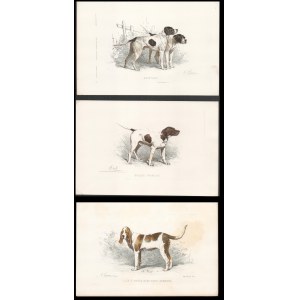 after Charles Olivier De Penne (1831-1897), Lot of three litographs