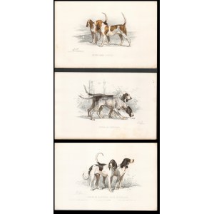 after Charles Olivier De Penne (1831-1897), Lot of three litographs