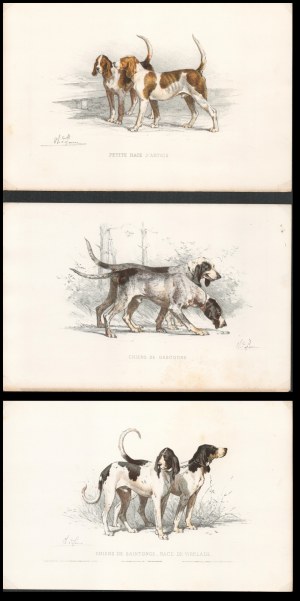 after Charles Olivier De Penne (1831-1897), Lot of three litographs