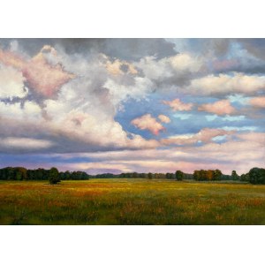 Wojciech Piekarski, Landschaft mit Wolken