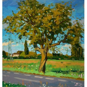 Slawomir J. Sicinski, Landscape with a Tree