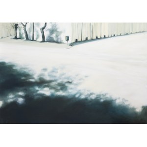 Magdalena Gogół, Warmth de la série Places Between, 2013.