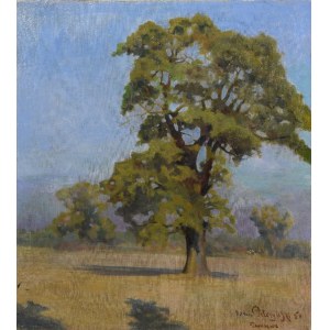 Adam PEŁCZYŃSKI (1865-1926), Landscape