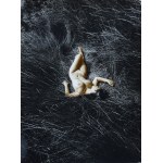 Andrey USTINOVICH, 20th / 21st century, Photograms - Nude, Summer Day