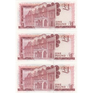 Gibraltar 1 Pound 1979 (3)