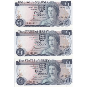 Jersey 1 Pound 1976 (3)