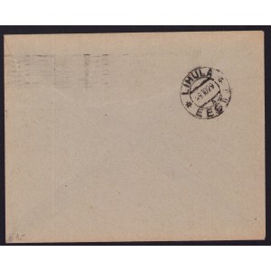 Estonia Tallinn - Lihula envelope 1929