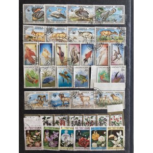 Collection of World Stamps - Mostly nature, vehicles, sport