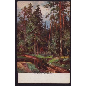 Estonia, Russia - German Occupation I World War postcard - Reval 1918