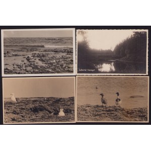 Estonia Group of postcards - Lõuna-Laager, Vilsandi before 1940 (4)