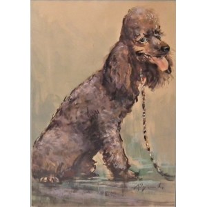 Henryk Baranowski,Poodle