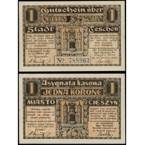 Cieszyn Silesia, 1 crown, 30.04.1919