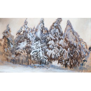 Julian Fałat (1853 Tuligłowy - 1929 Bystra), Winter landscape from Bystra, 1917.