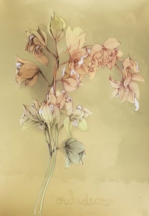 Bruno BRUNI [ur. 1936] Orchidea Verde, 1988 r.