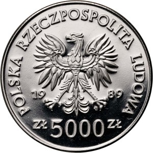 PRL, 5000 złotych 1989, Ratujemy Zabytki Torunia, PRÓBA, Nikiel