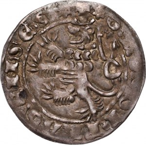 Čechy, Jan I. Lucemburský 1310-1346, pražský groš