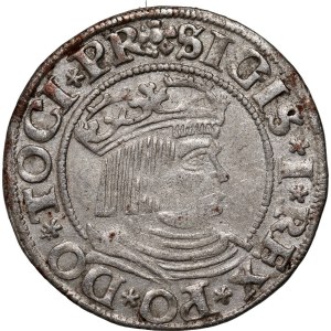 Sigismund I. der Alte, Pfennig 1531, Danzig