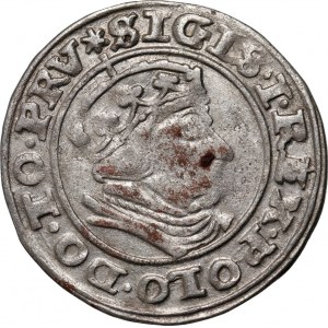 Sigismund I. der Alte, Pfennig 1540, Danzig