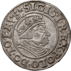 Sigismund I. der Alte, Pfennig 1539, Danzig