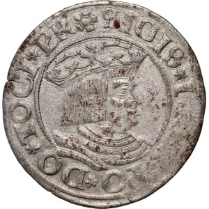 Sigismund I. der Alte, Pfennig 1531, Danzig