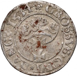 Žigmund I. Starý, penny 1534, Gdansk