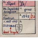 Slezsko, knížectví legnicko-brzeské, Fridrich II., penny 1543, Brzeg, KALKOWSKI