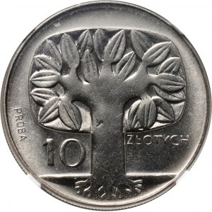 PRL, 10 zlotých 1964, strom, PRÓBA, nikel