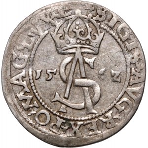 Sigismund II. Augustus, Trojak 1562, Vilnius