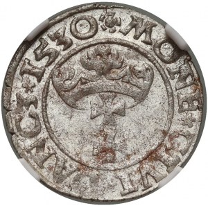 Zikmund I. Starý, šilink 1530, Gdaňsk