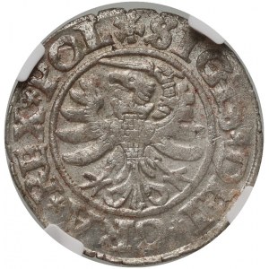 Žigmund I. Starý, šiling 1530, Gdansk