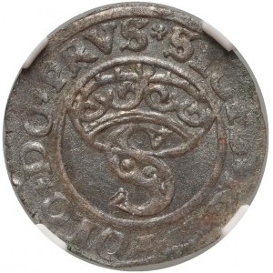 Zygmunt I the Old, 1530 shekel, Torun