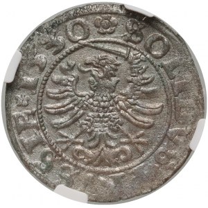 Zikmund I. Starý, šilink 1530, Toruň