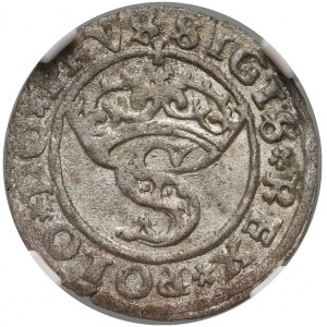 Sigismund I the Old, 1529 shekel, Torun