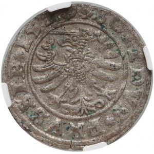 Sigismund I the Old, 1529 shekel, Torun