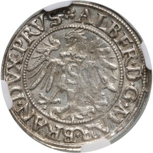 Kniežacie Prusko, Albert Hohenzollern, penny 1534, Königsberg