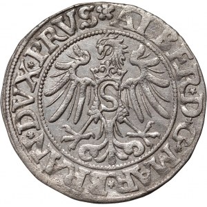 Herzogliches Preußen, Albert Hohenzollern, Pfennig 1534, Königsberg