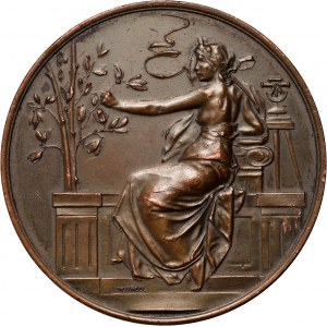 Česká republika, medaila z roku 1898, Výstava architektúry v Prahe