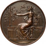 Czechy, medal z 1898 roku, Wystawa Architektury w Pradze