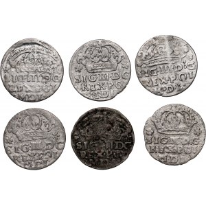 Sigismund III Vasa, Satz, 6 x Pfennig aus 1623-1624, Bromberg (Bydgoszcz)