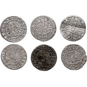 Sigismund III Vasa, set, 6 x pennies from 1623-1624, Bydgoszcz