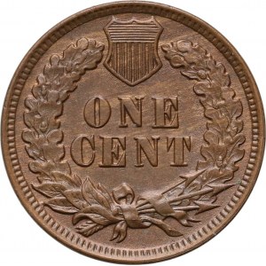 USA, Cent 1900, Philadelphia, Indian Head