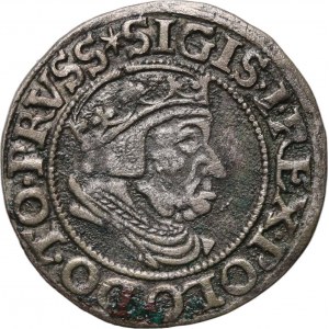 Zikmund I. Starý, penny 1537, Gdaňsk